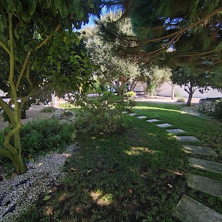 Cela Velha Quinta Camargue B&B 외부 사진