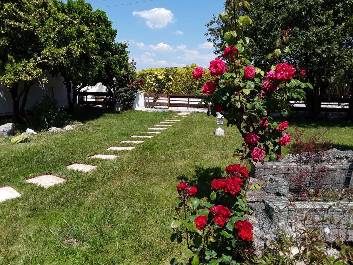 Cela Velha Quinta Camargue B&B 외부 사진