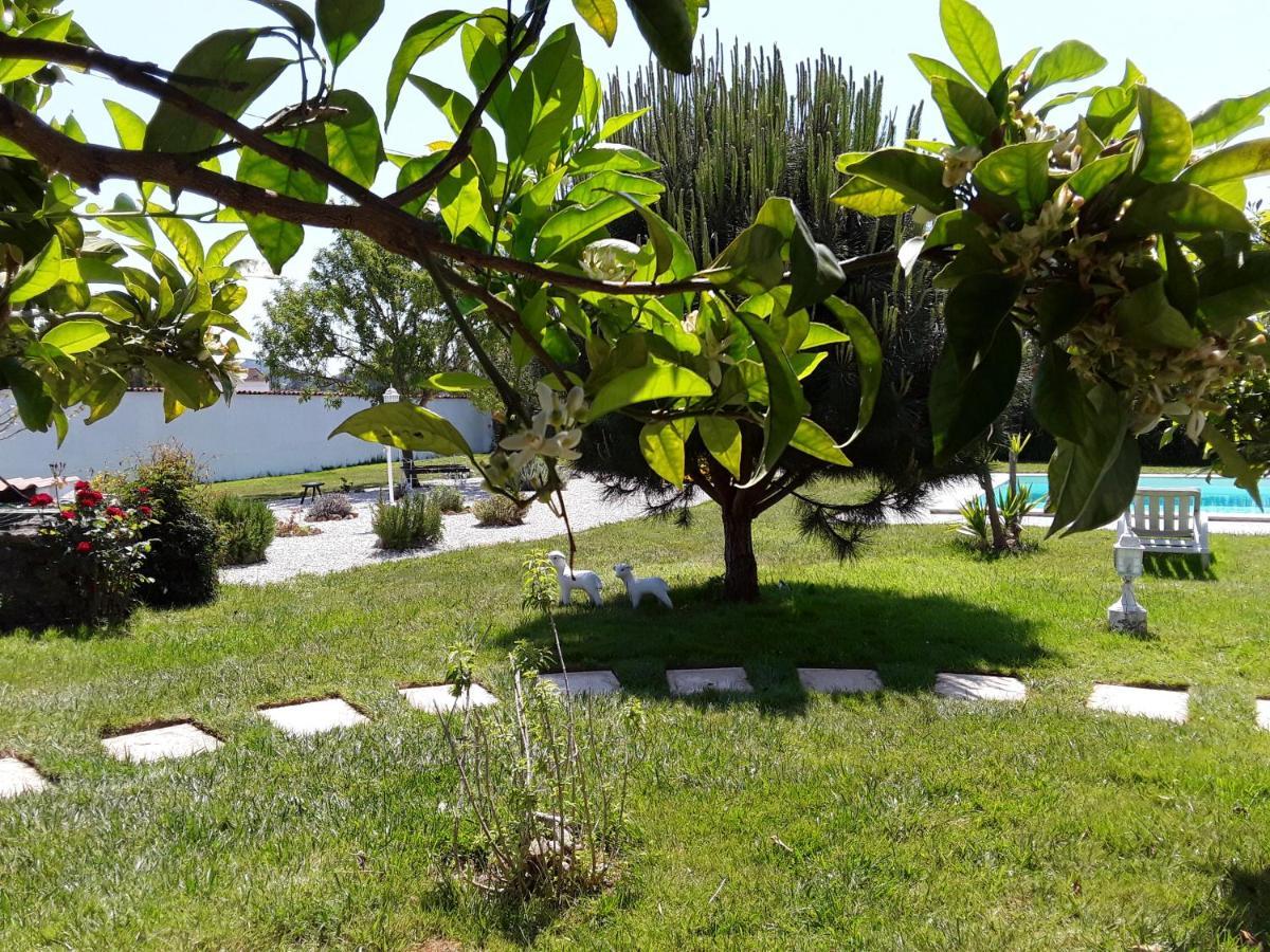 Cela Velha Quinta Camargue B&B 외부 사진